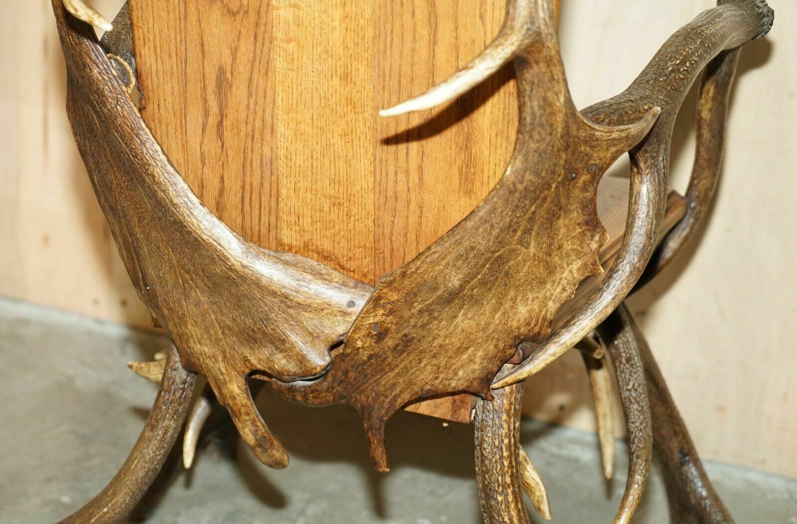 photo for sale Pair Of Antique German Black Forest Carved Antler Armchairs Part Of A Suite