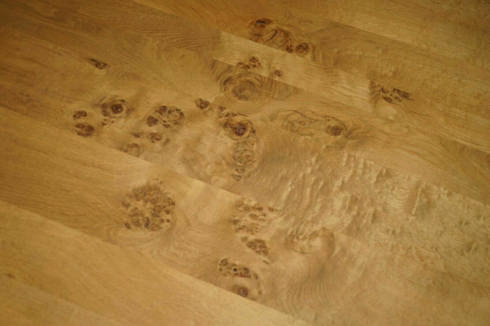 Stunning Large 170cm Wide Pollard Pippy Burr Oak Round Dining Table Seats Eight photo 3950.0