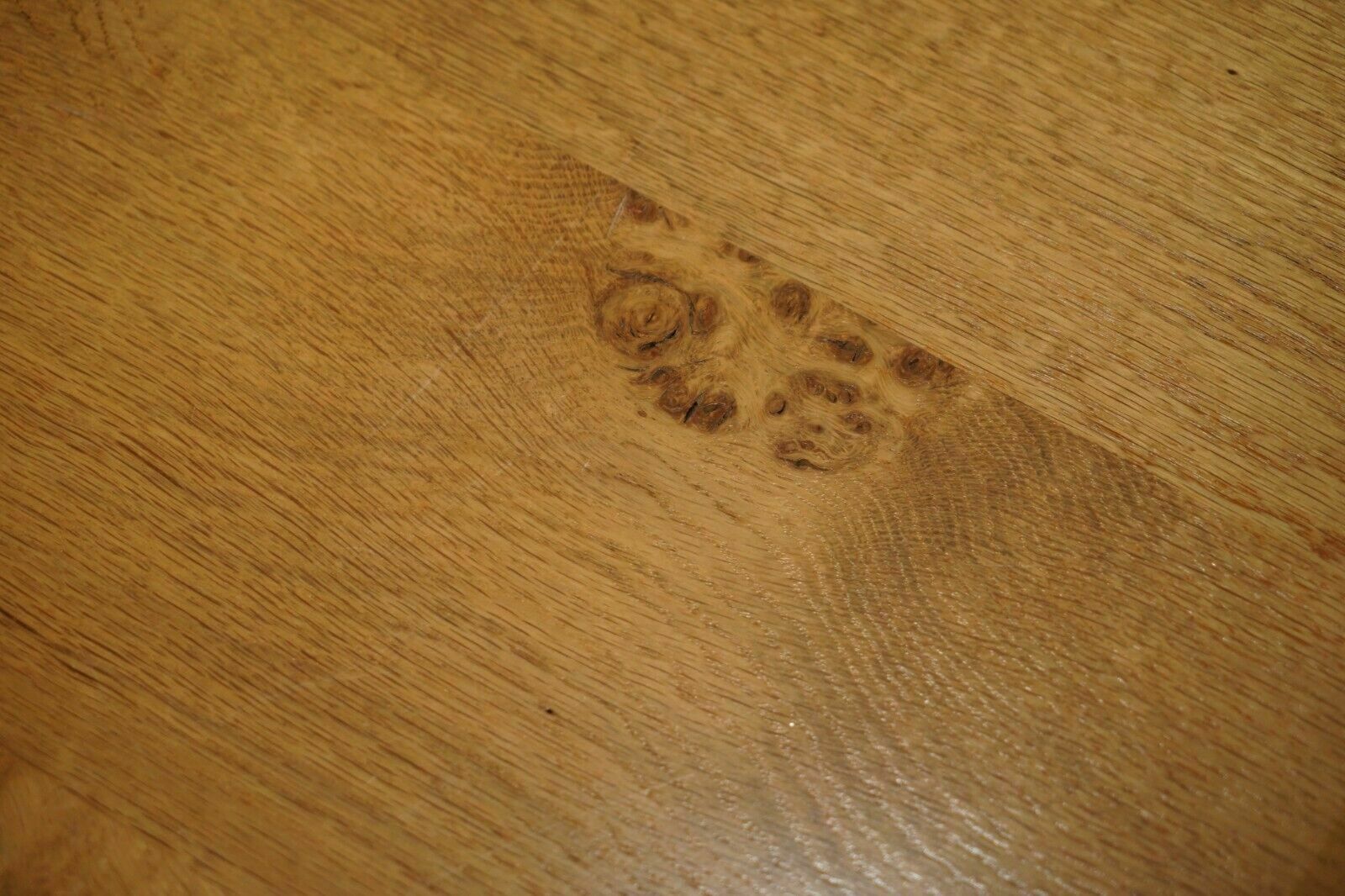 Furniture Stunning Large 170cm Wide Pollard Pippy Burr Oak Round Dining Table Seats Eight photo