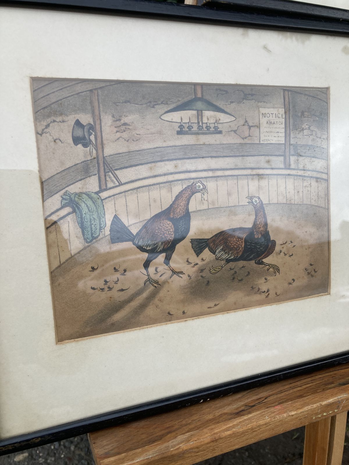 Set Of 3 Coloured Victorian Cock Fighting Bird Prints In Frames photo furniture