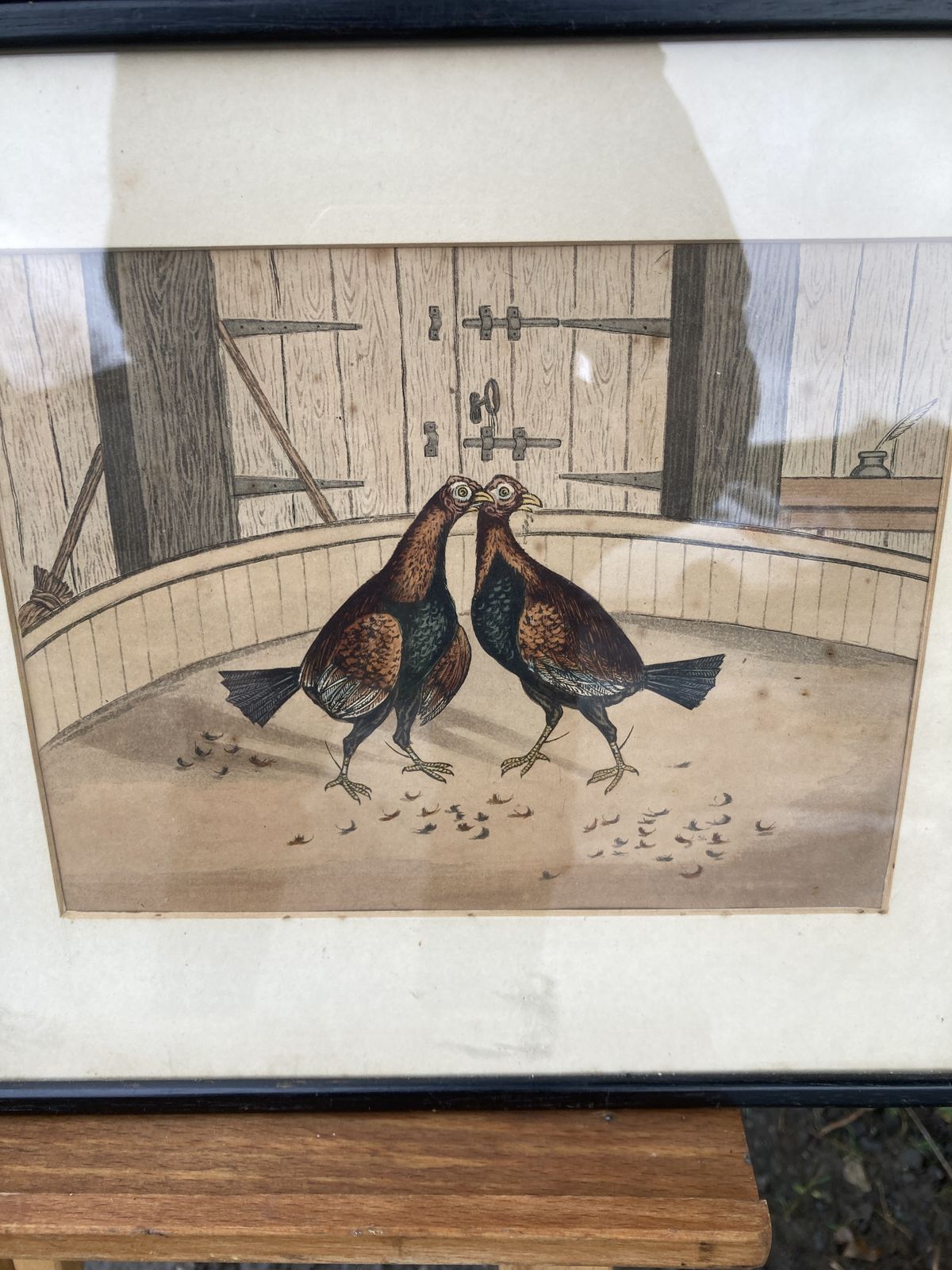 photo buy Set Of 3 Coloured Victorian Cock Fighting Bird Prints In Frames