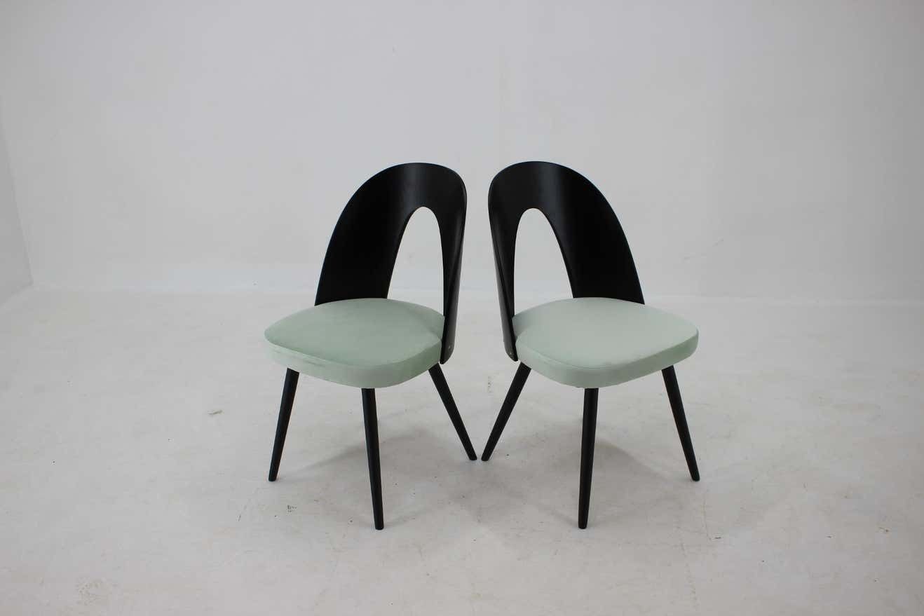 1960s Antonin Suman Set Of Four Dining Chairs photo 1629.0