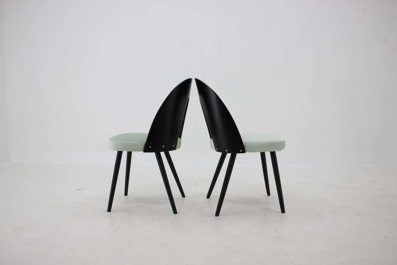 1960s Antonin Suman Set Of Four Dining Chairs photo vinterior