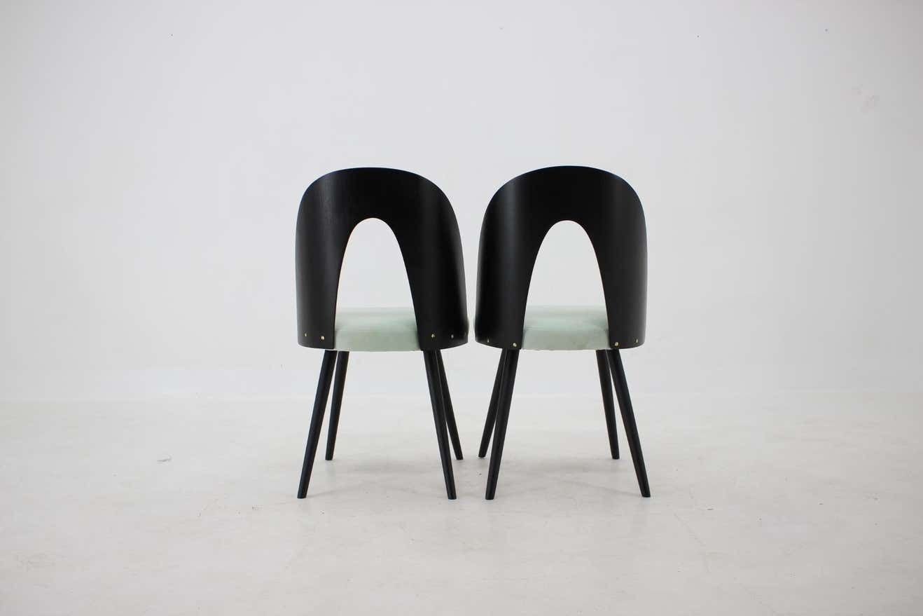 1960s Antonin Suman Set Of Four Dining Chairs photo buy