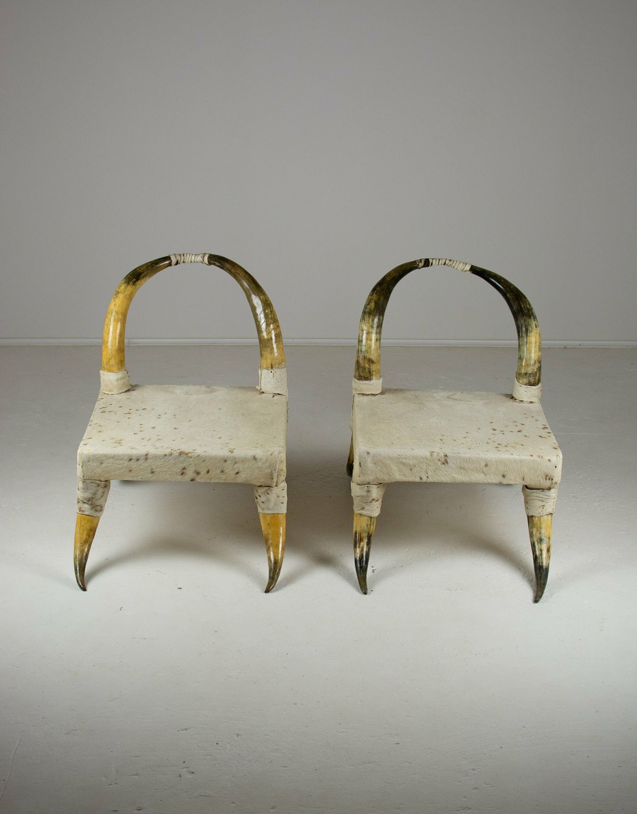 Pair Of Vintage Steer Horn And Hide Side Chairs. Côte D'ivoire, West Africa photo for sale