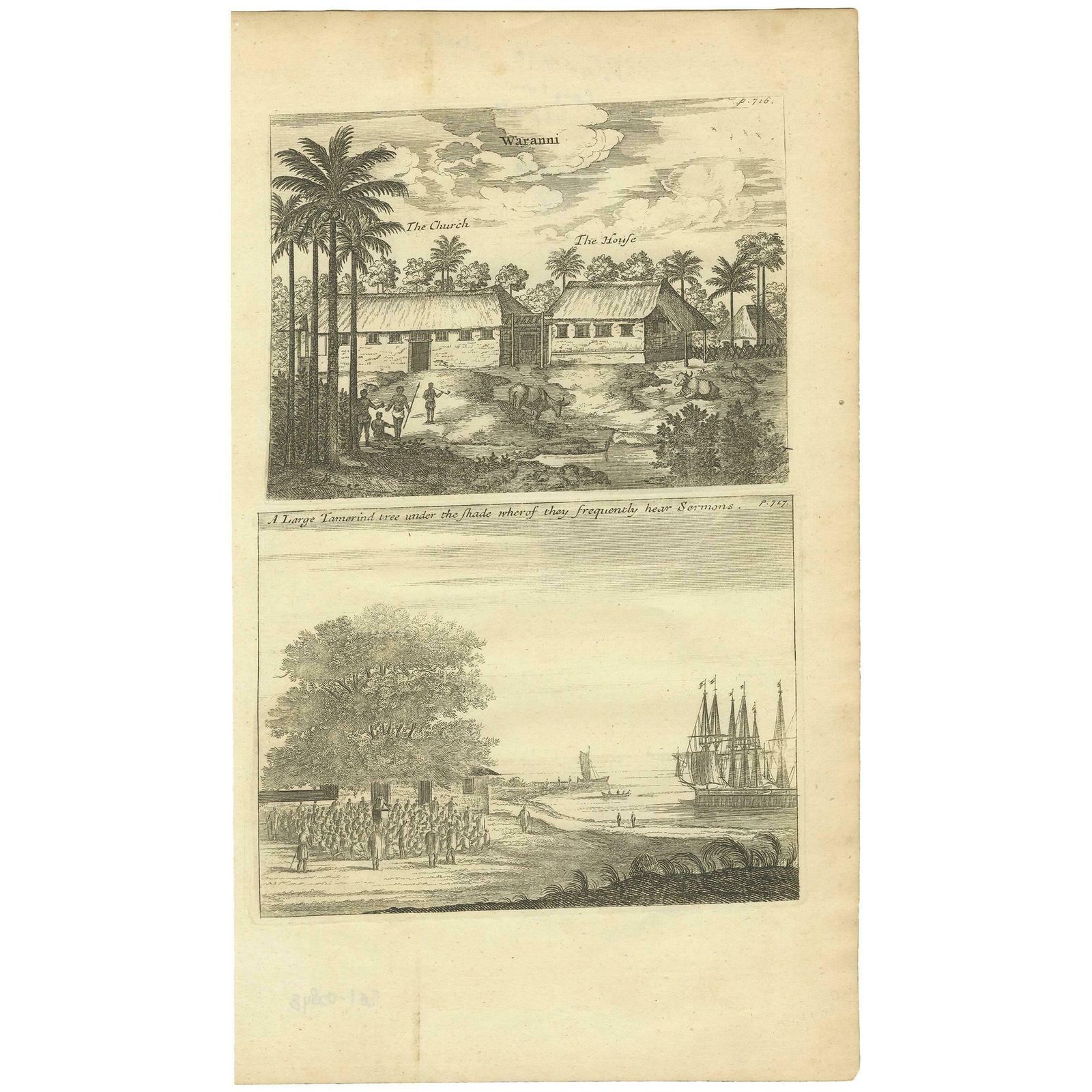 Antique Print Of Waranni And A Tamarind Tree 'Ceylon, Sri Lanka'