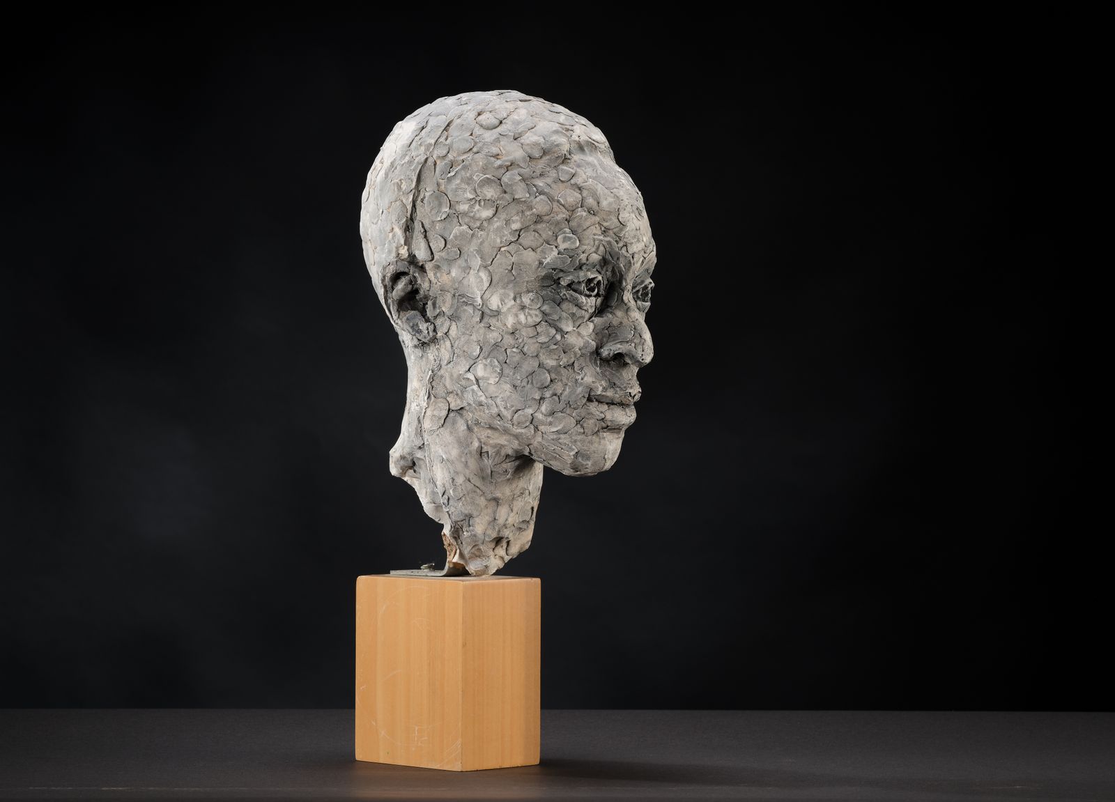 Stunning 'Patience Agbabi' Vintage Man Head Sculpture By Bryan Ellery, England Circa 1990's photo vinterior