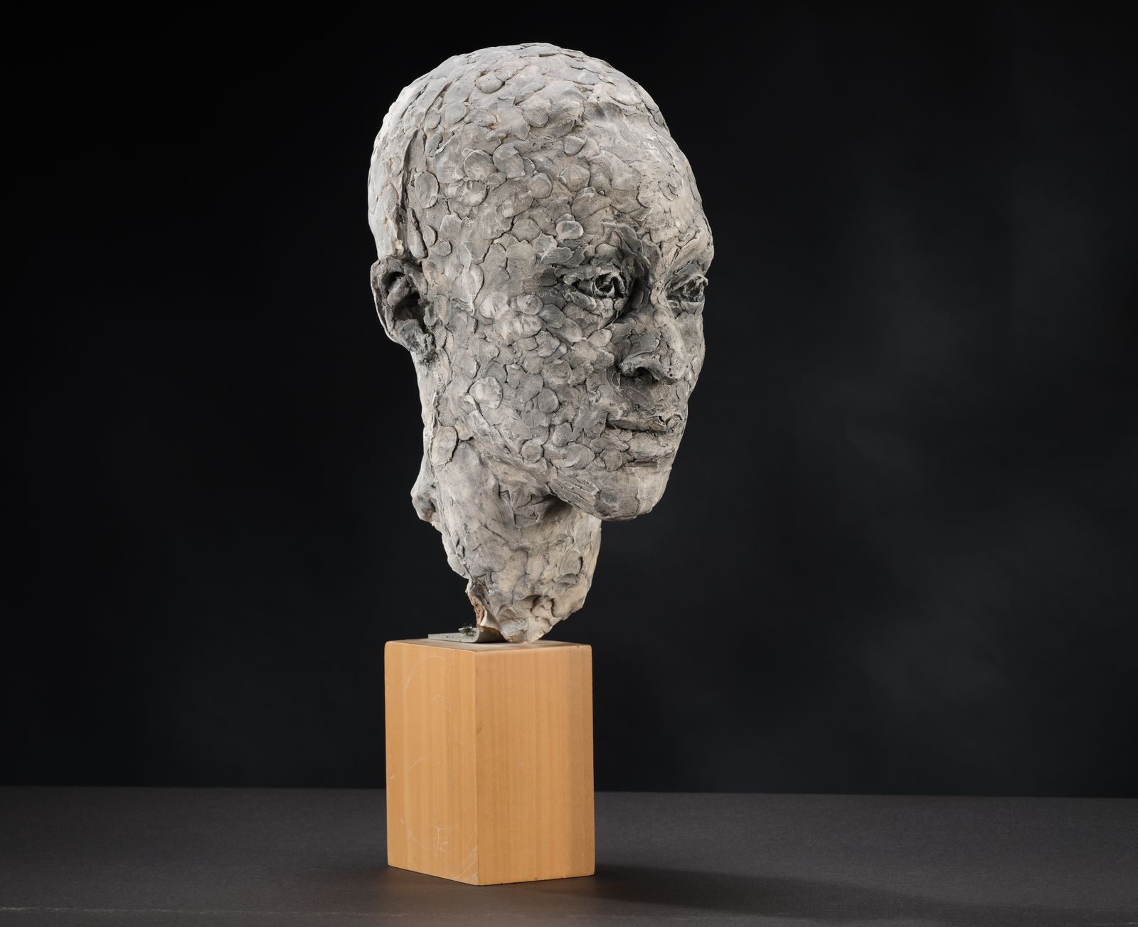 Stunning 'Patience Agbabi' Vintage Man Head Sculpture By Bryan Ellery, England Circa 1990's photo vintage