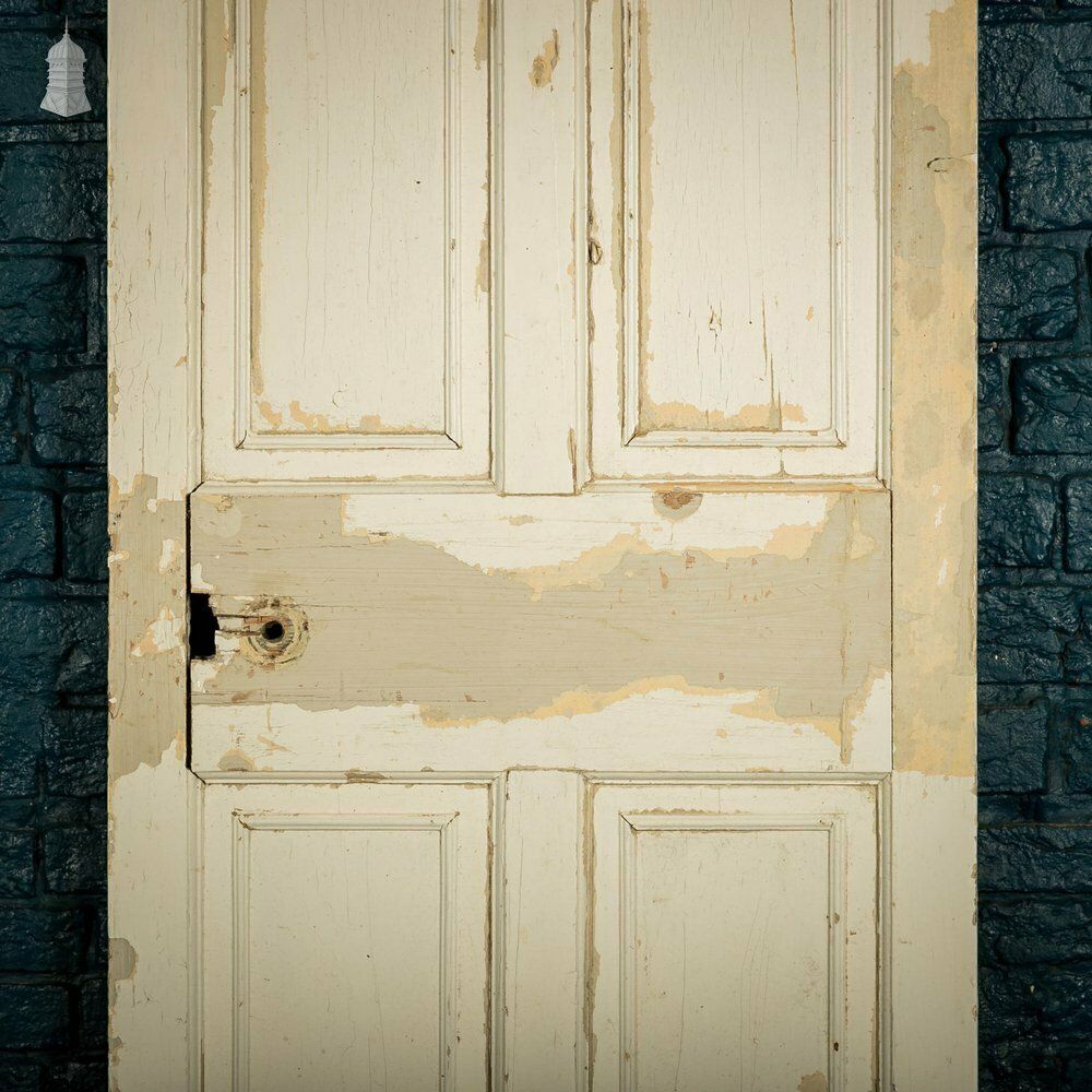 Pine Paneled Door, 6 Moulded Panel White Painted photo furniture