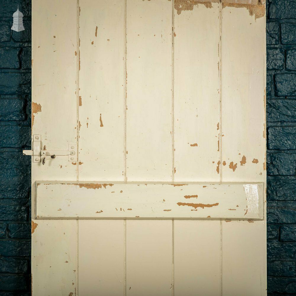 Ledged Plank Door, White Painted photo vinterior