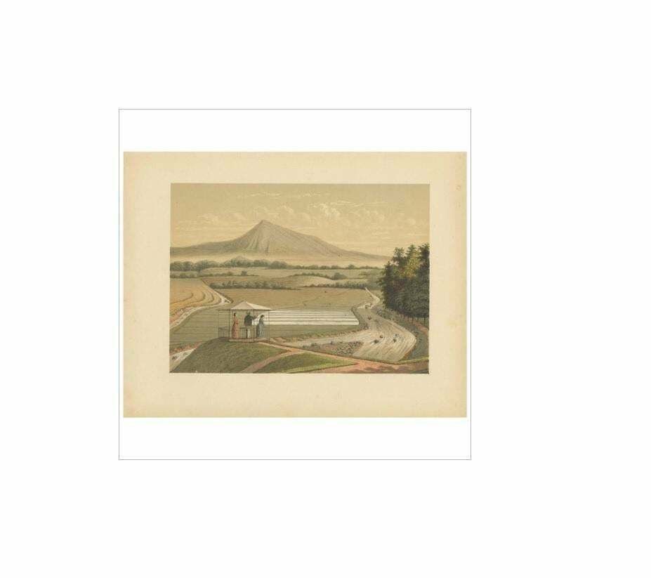 Antique Print Of Mount Pangrango ‘Java’ By M.T.H. Perelaer, 1888 photo for sale