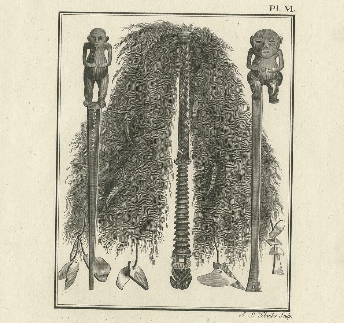 Antique Print Depicting A Tool To Repel Mosquitoes By Cook, 1803 photo Art