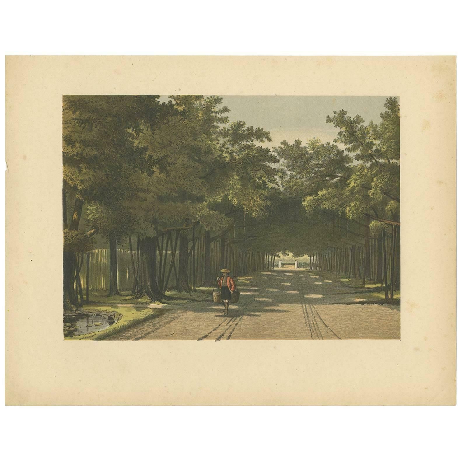 Antique Print Of The Royal Arboretum In Batavia By M.T.H. Perelaer, 1888