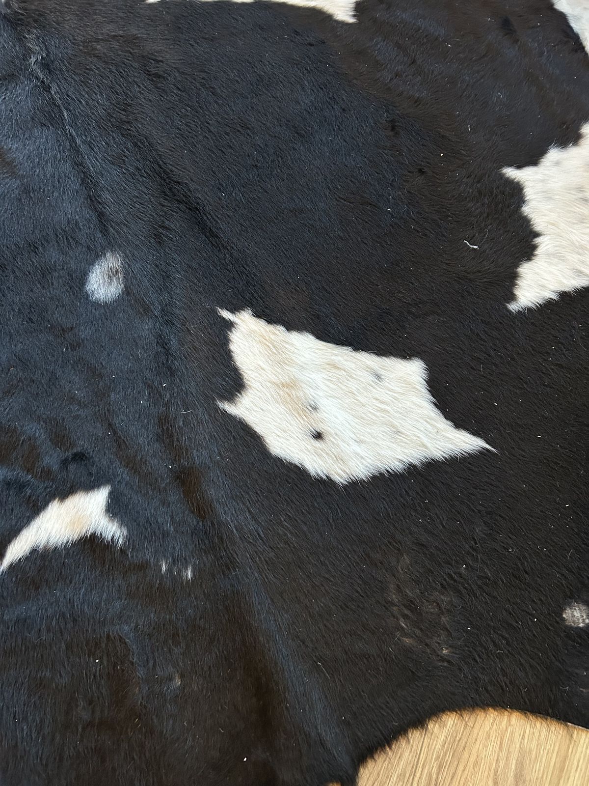 Large Cow Hide Rug photo buy