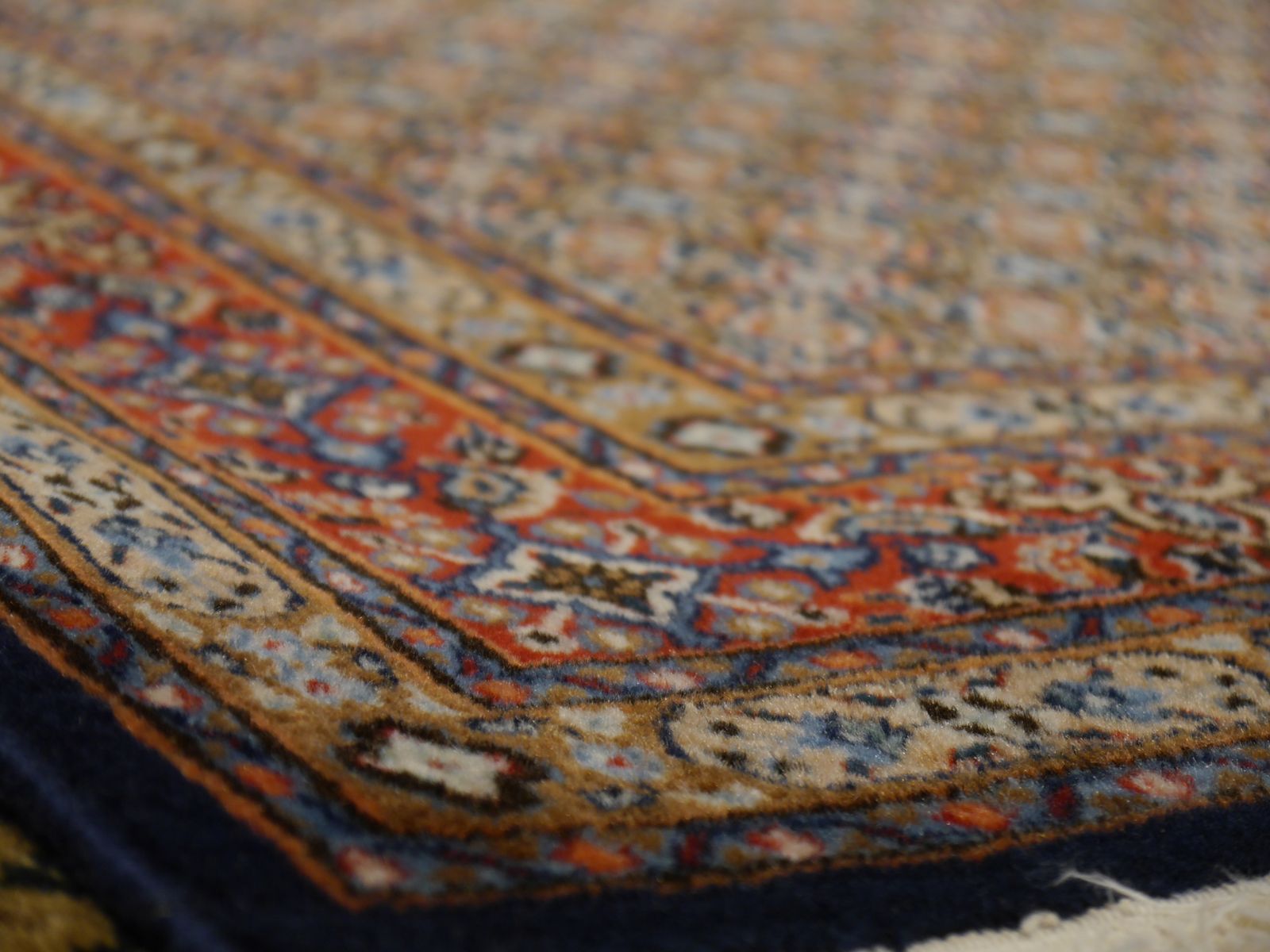 Amini Birdjand Rug 8.2 X 5.1 Ft / 250 X 155 Cm photo 959.0