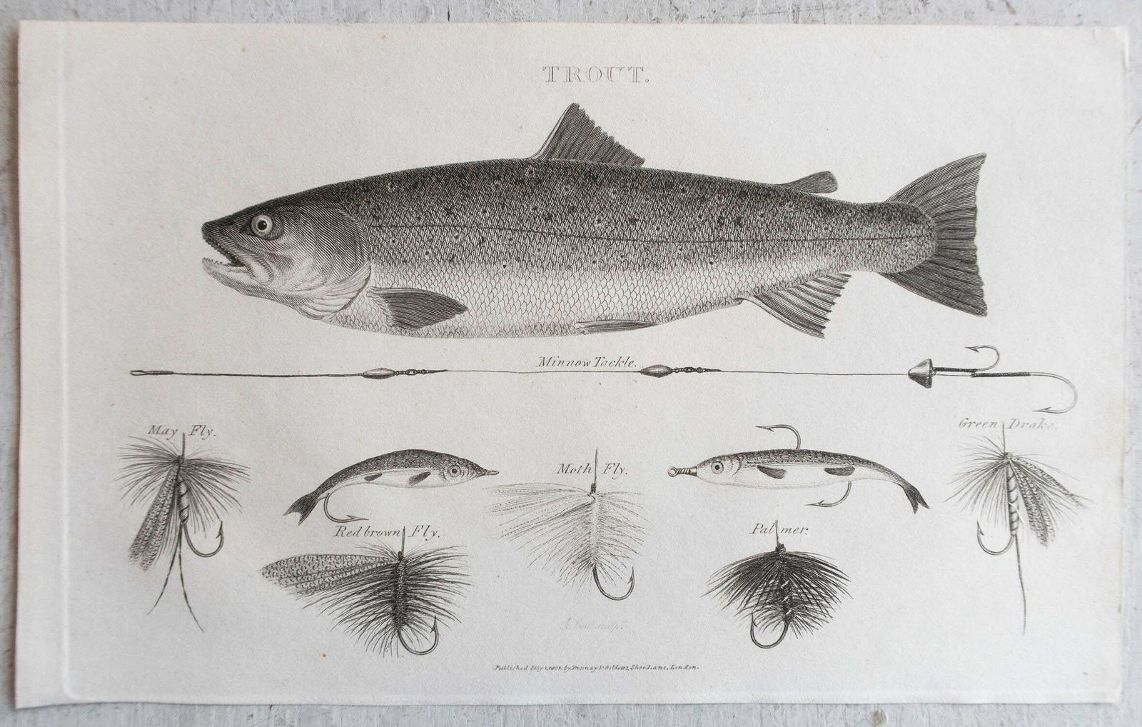 Set Of 5 Original Antique Fishing / Angling Prints, Dated 1801 photo for sale