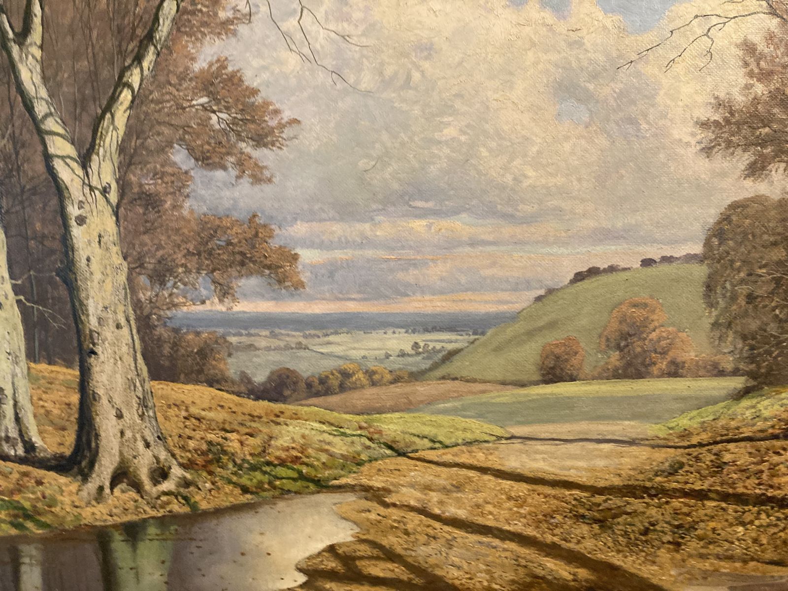 David Mead Oil Painting 'Cobham Woods' Unusually Large, Signed. photo Art