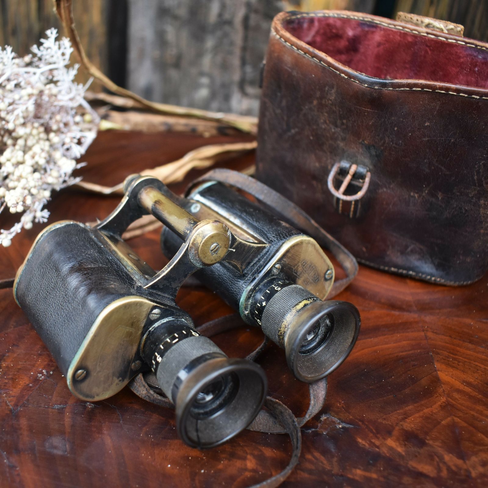 Antique Mary Jaffray Hartsfield House Betchworth Surrey Carl Zeiss Binoculars