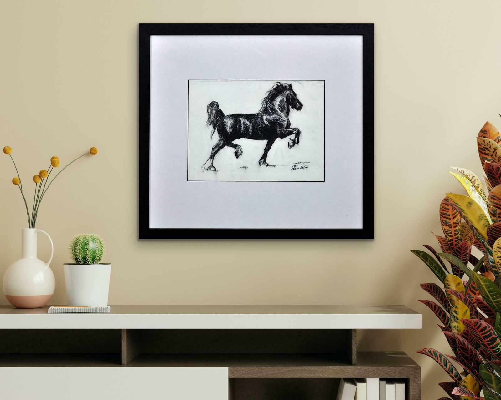 Elin Sian Blake Black Welsh Cob. Wales Native Heritage Horse Breed Society. photo buy
