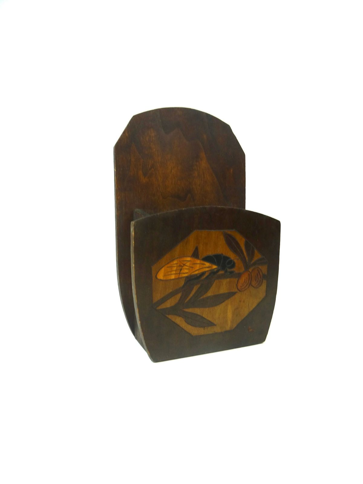 Rare Original Art Deco Antique Insect Wall Storage Box photo furniture