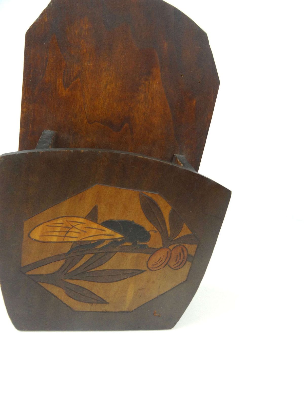 Rare Original Art Deco Antique Insect Wall Storage Box photo Home Decor