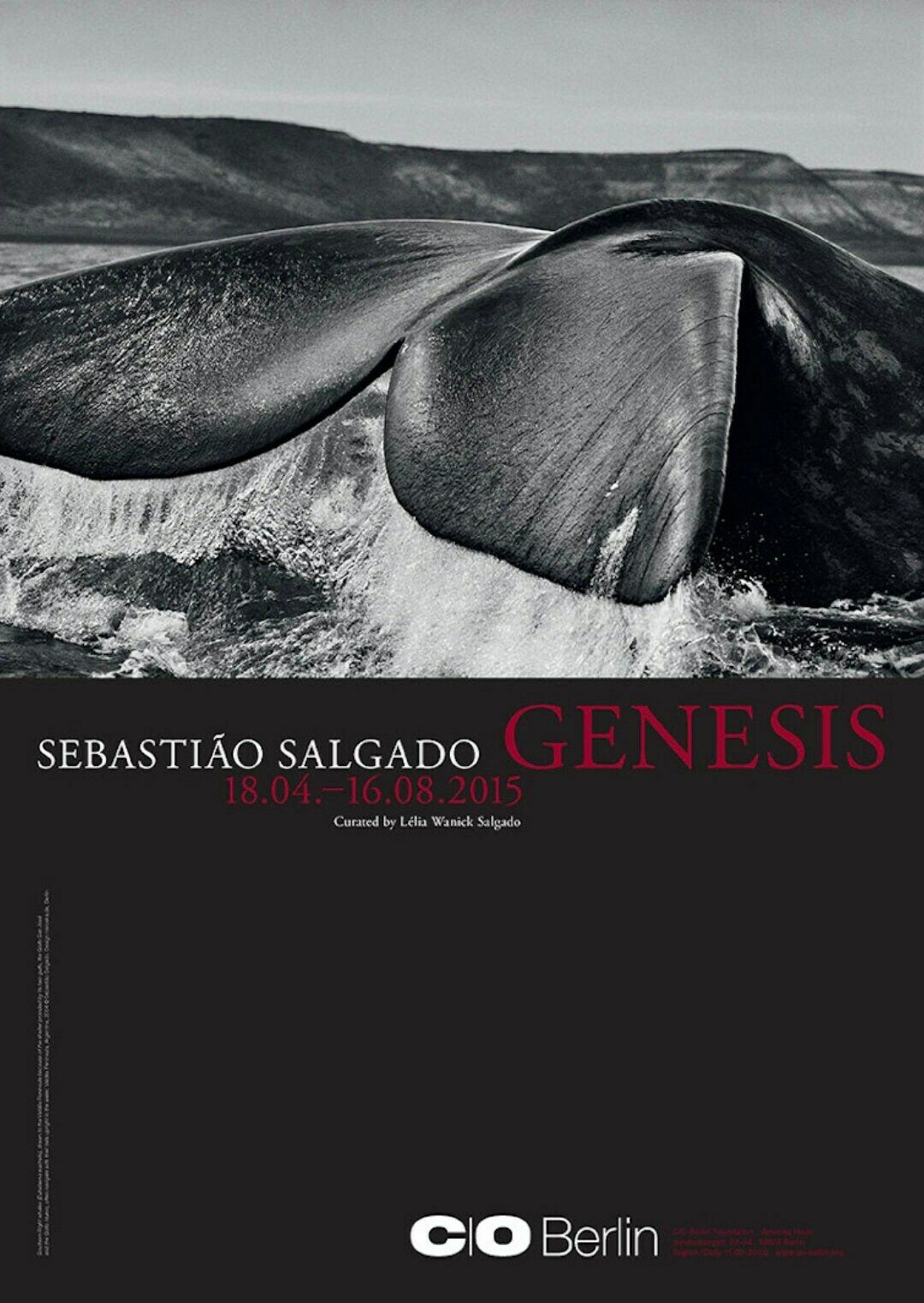 Authentic Sebastiao Salgado Exhibition Poster   Genesis Whale Tail   Stunning Original Museum Print