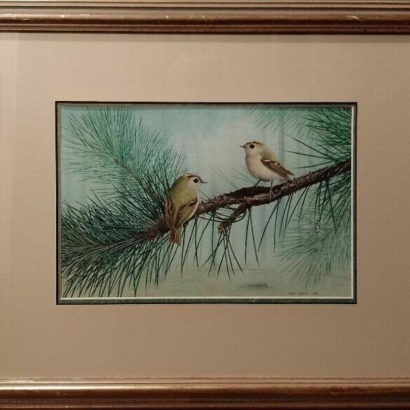 Ornithology Collection Of Signed Paintings By Chris Shields X 7 Framed Vary Size photo buy