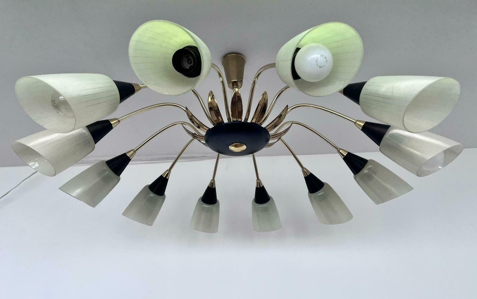 Very Rare Large Stilnovo Style Chandelier, Germany, 1960s photo vintage