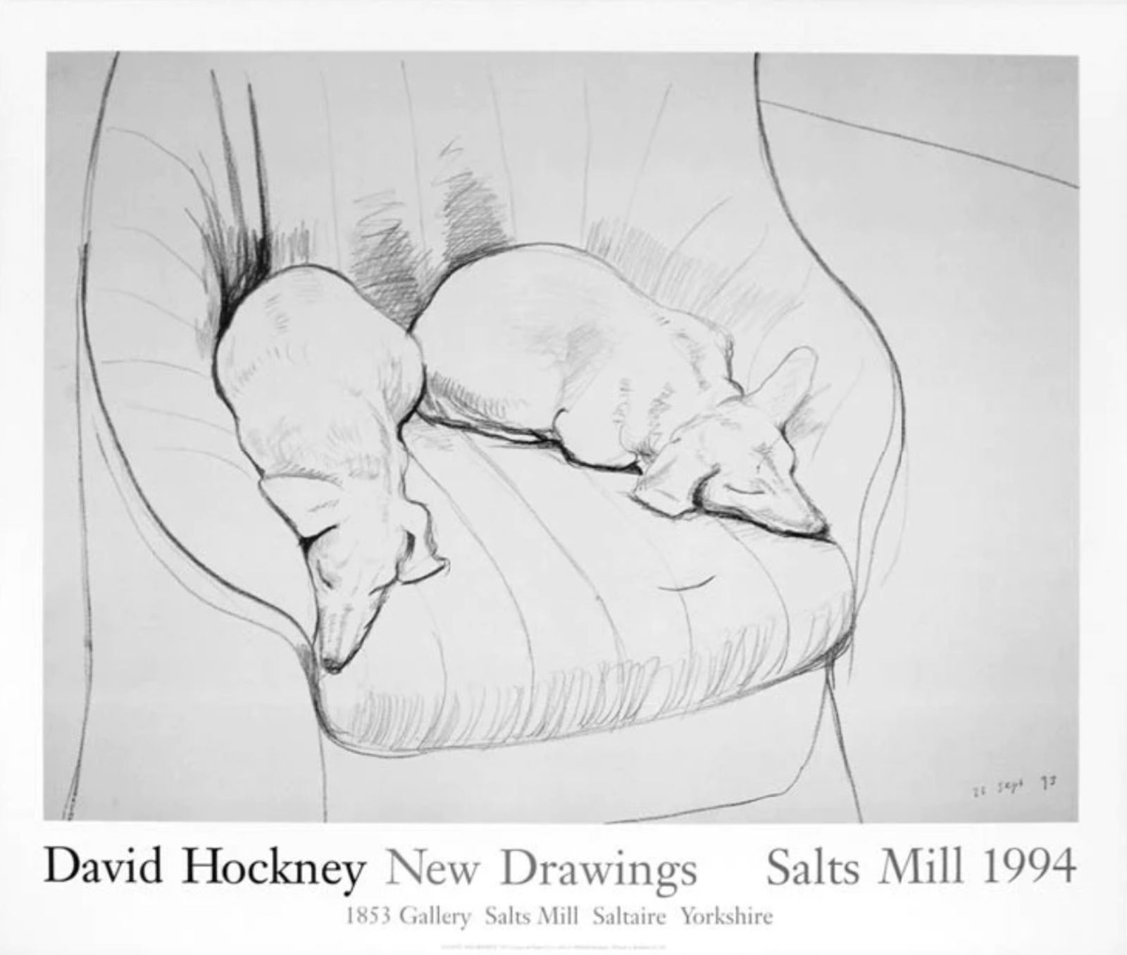 David Hockney New Drawings (Stanley And Boodge Dogs)