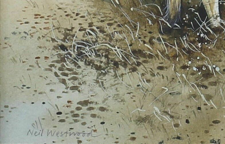 Watercolour By Neil Westwood. "Friesians By An Old Barn" photo for sale