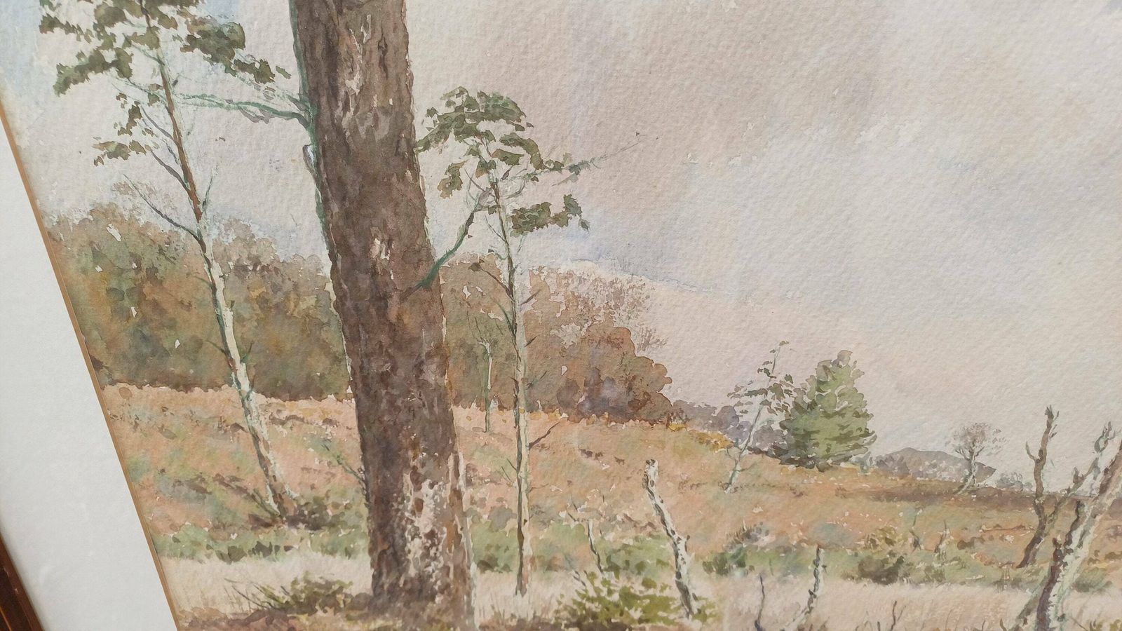 Large Original Vintage Watercolour Of A Country Scene, Woodland, Moorland, Forest   Ashdown Forest Possibly, Cuckoos, Mounted, Glazed Framed photo vinterior