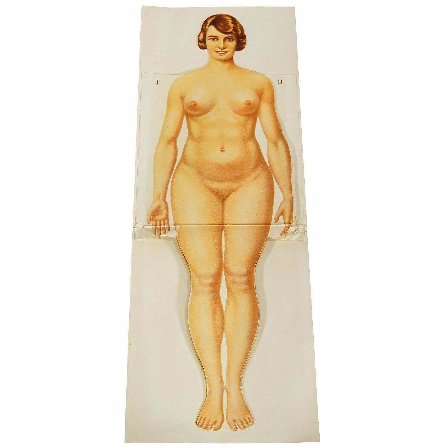 Antique Foldable Anatomical Brochure Depicting Female Anatomy photo furniture
