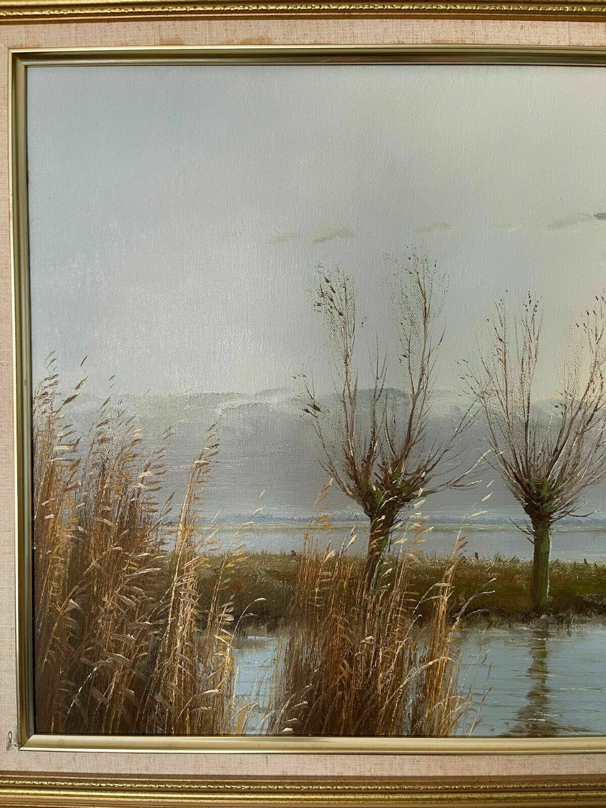 Ducks Flying Over Marshland By Gien Van De Velde (Gien Brouwer) photo Art