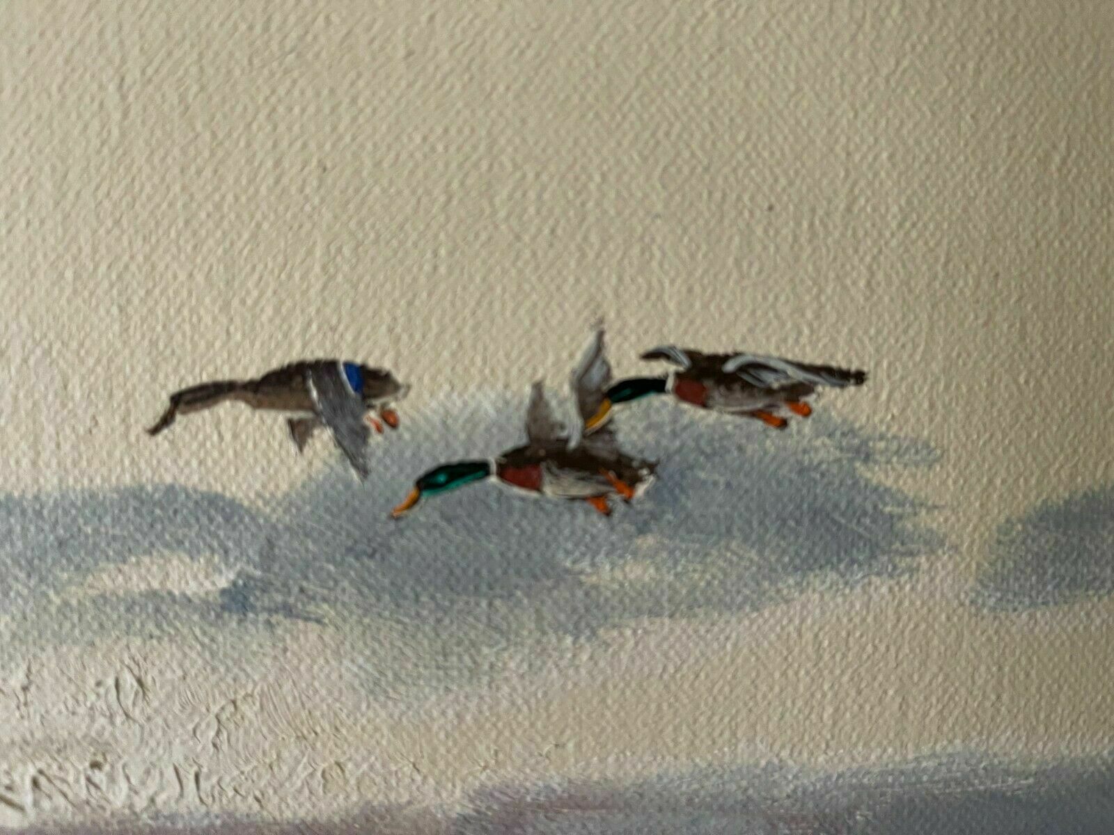 photo furniture Ducks Flying Over Marshland By Gien Van De Velde (Gien Brouwer)