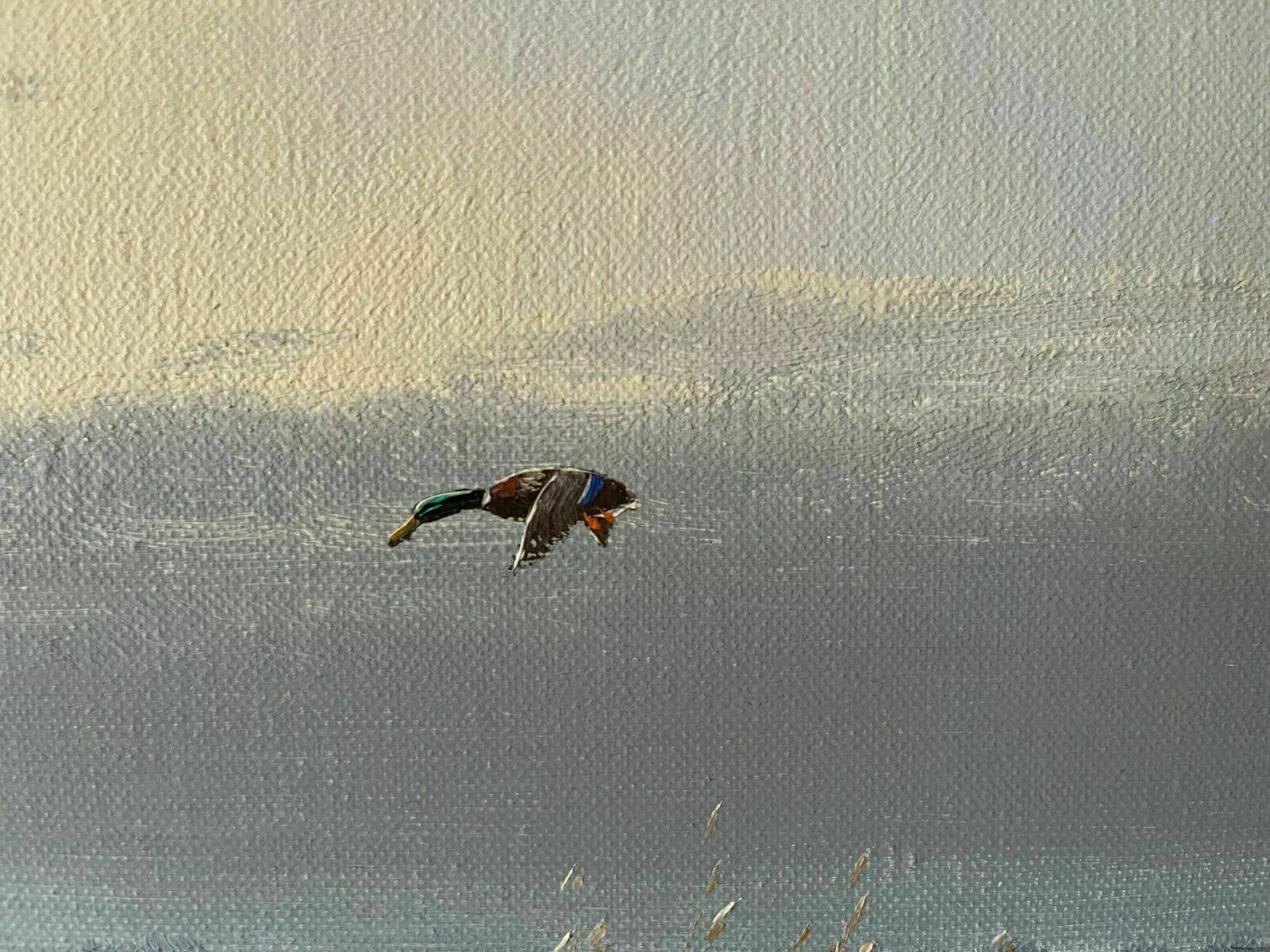 Art Ducks Flying Over Marshland By Gien Van De Velde (Gien Brouwer) photo