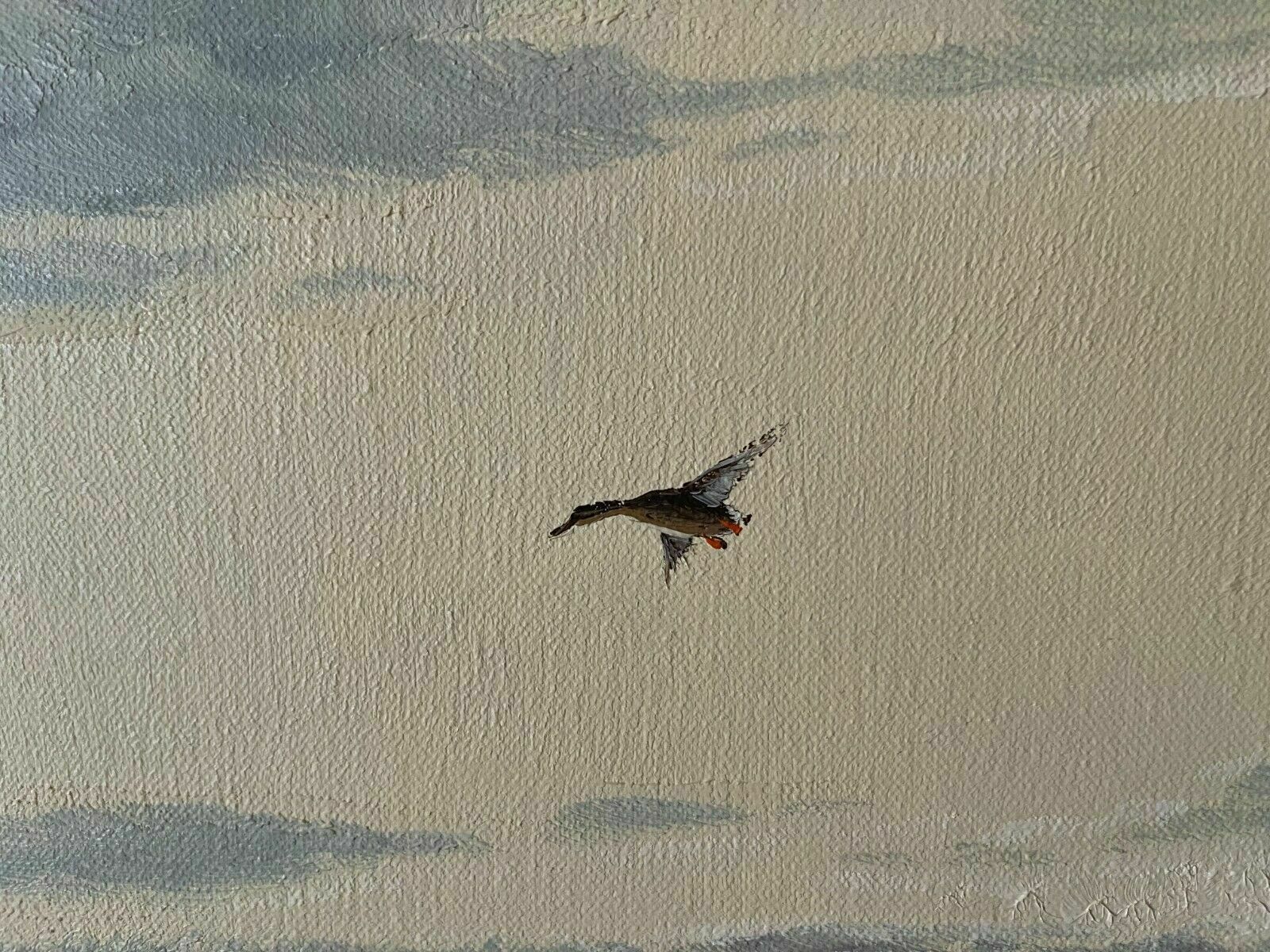 1450.0 Ducks Flying Over Marshland By Gien Van De Velde (Gien Brouwer) photo