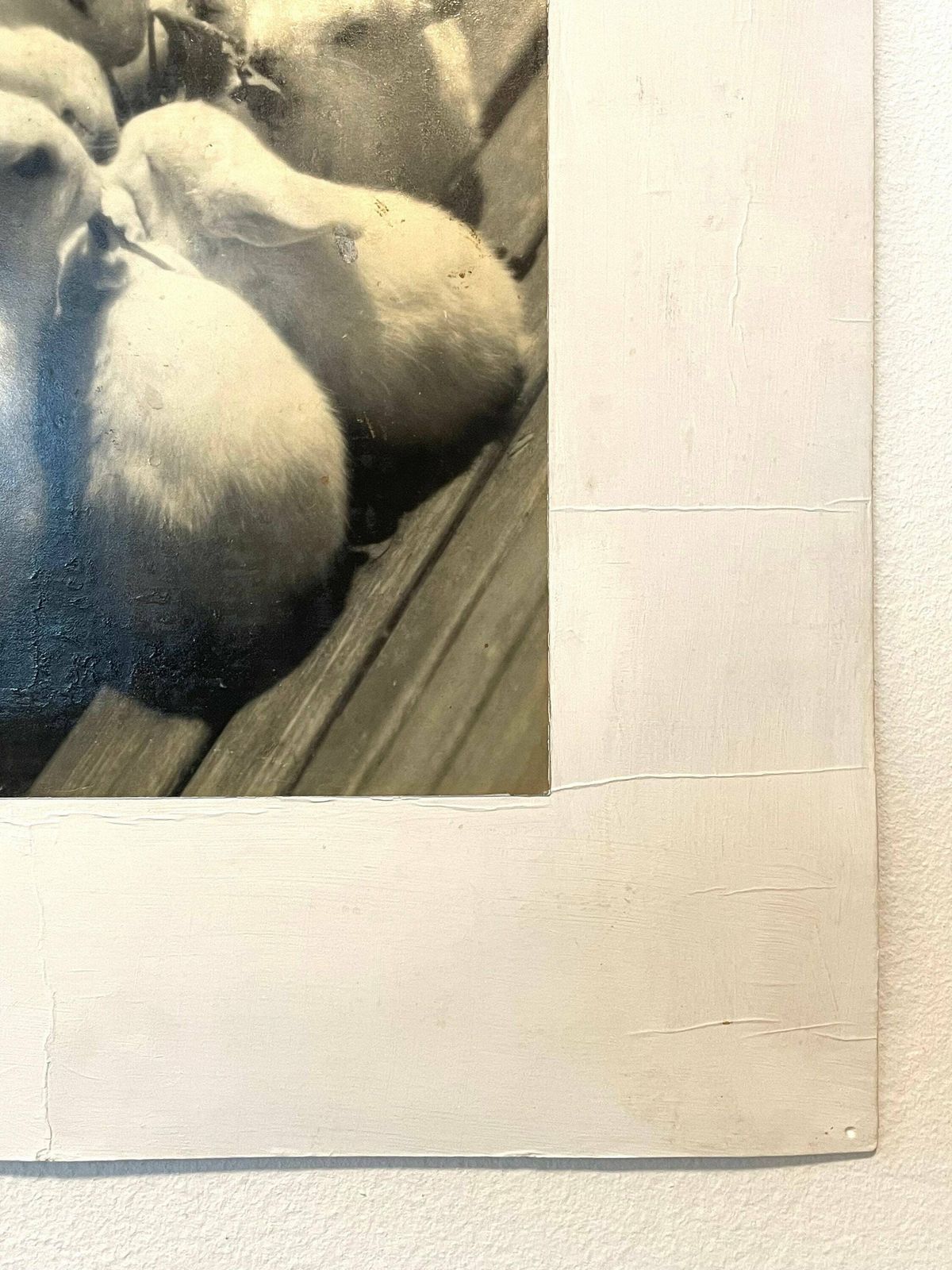 Danish Vintage Mid Century Fine Art Photography From The 1940’s “Jubilæumsbanket” By Aage Lillesøe photo buy
