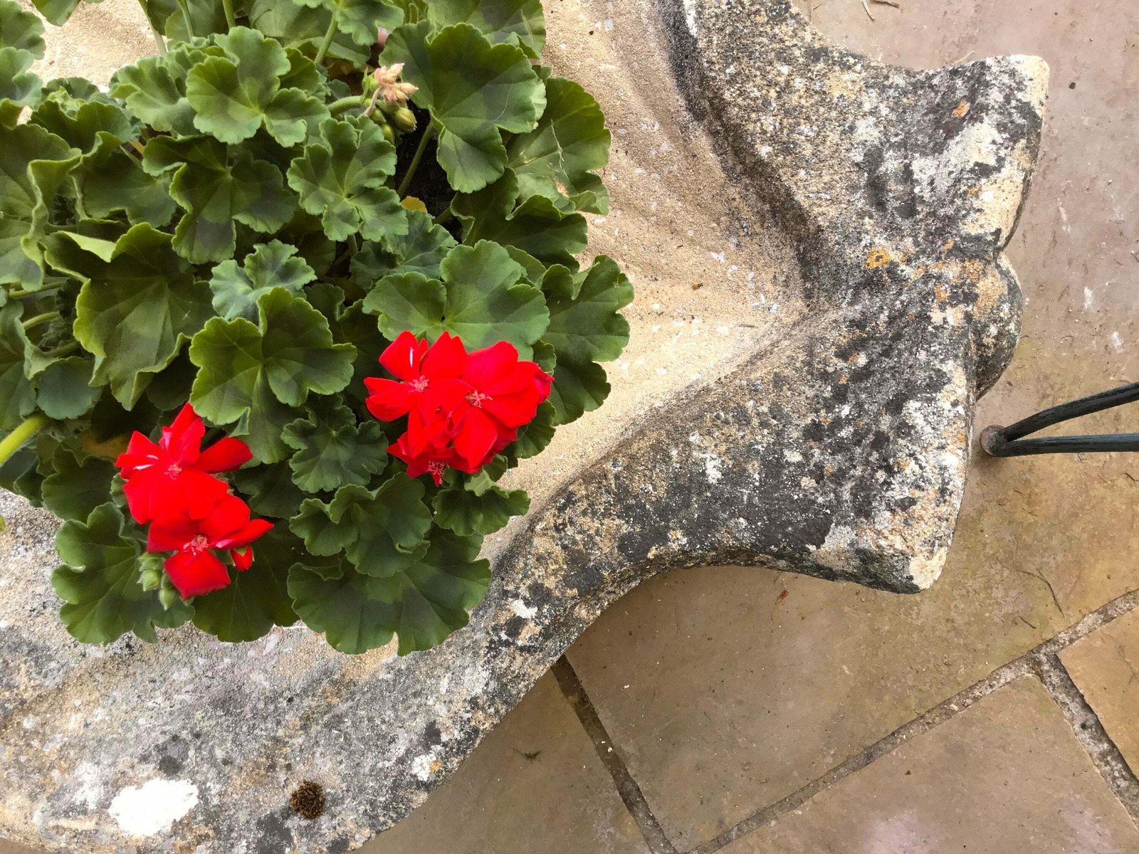 photo furniture Stunning Vintage Pair Of Reconstituted Stone Scallop Shaped Planters On Stands
