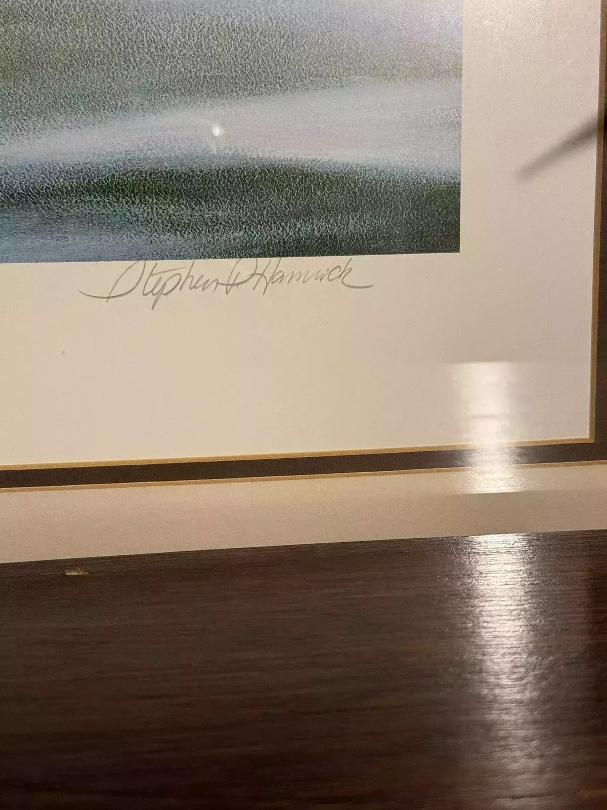 Birds Eye View Chocolate Labrador Stephen Hamrick Signed By Artist photo for sale
