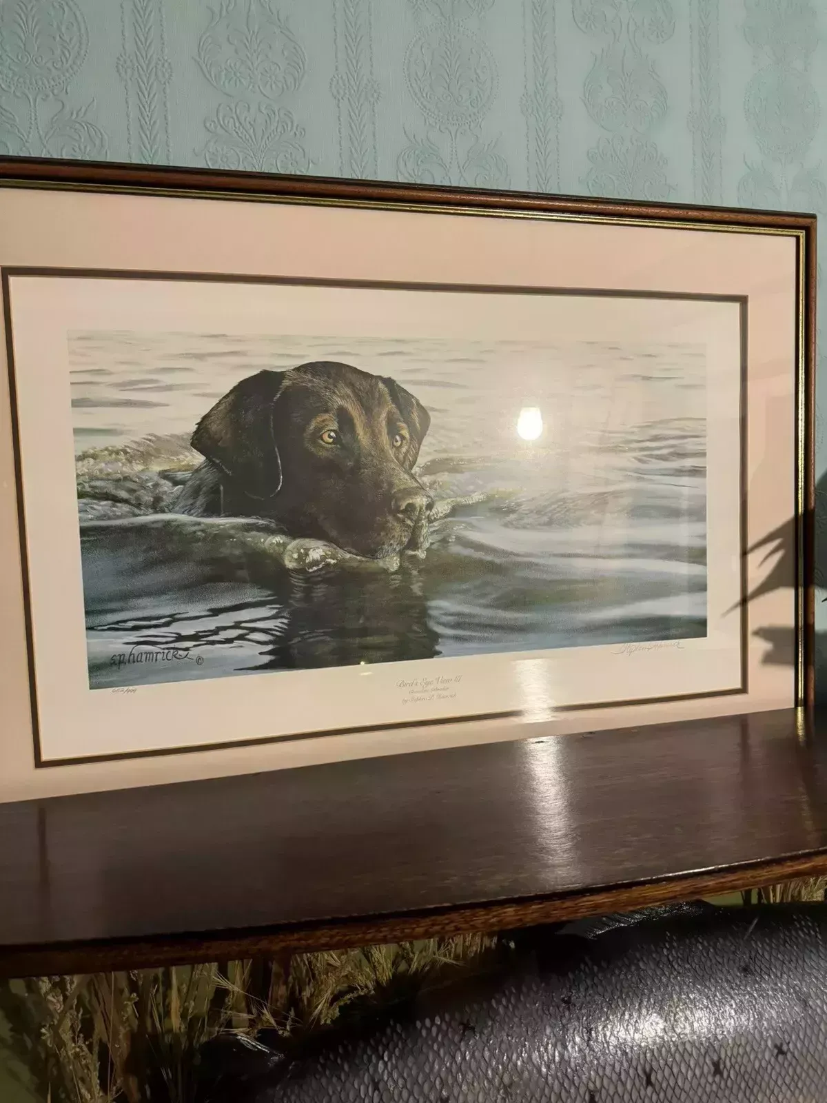Birds Eye View Chocolate Labrador Stephen Hamrick Signed By Artist photo Art