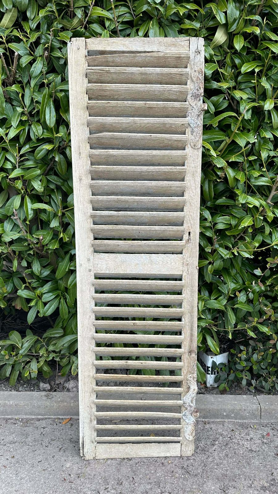Fabulous Patina Antique French Louvred Window Shutter (1) Original Handle & Very Fine Hinges photo for sale