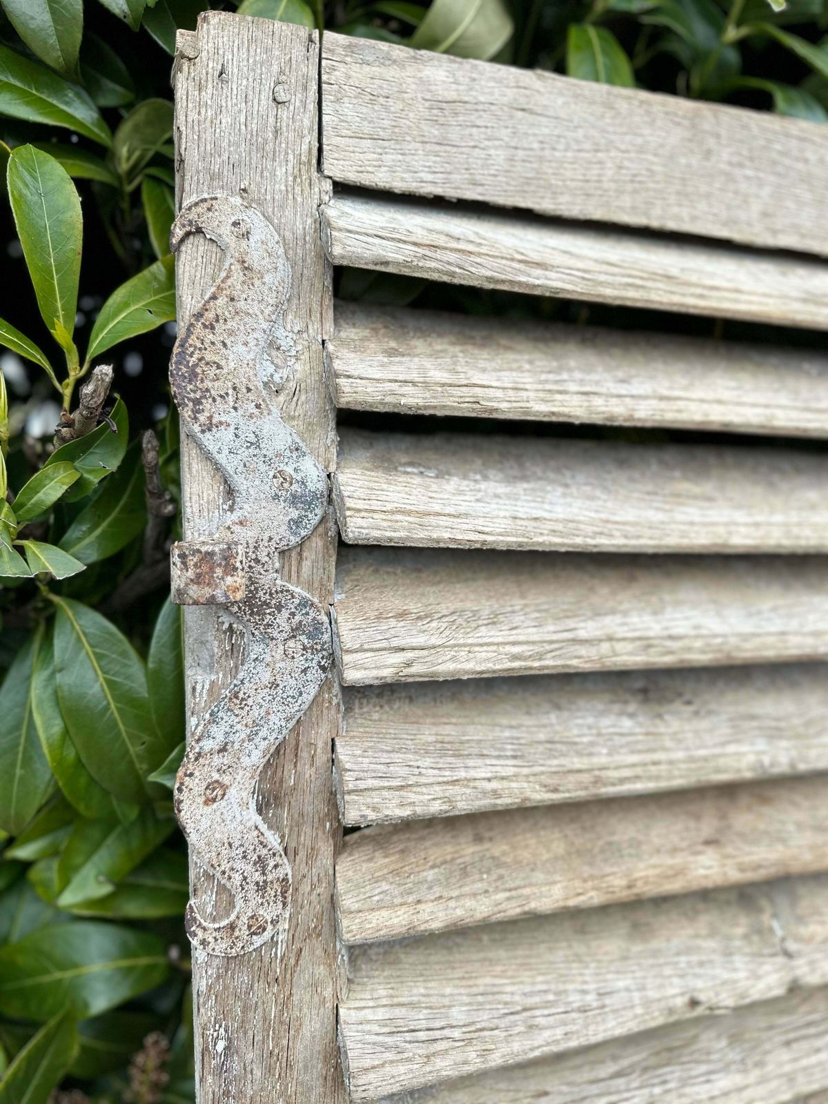 Fabulous Patina Antique French Louvred Window Shutter (1) Original Handle & Very Fine Hinges photo Home Fixtures