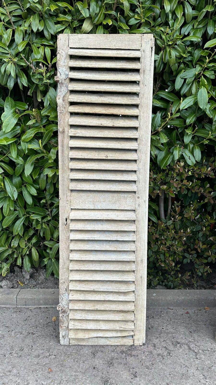 Fabulous Patina Antique French Louvred Window Shutter (1) Original Handle & Very Fine Hinges photo vinterior
