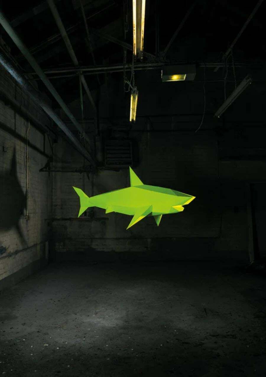 Liam Hopkins Liam Hopkins, Industry Shark 01