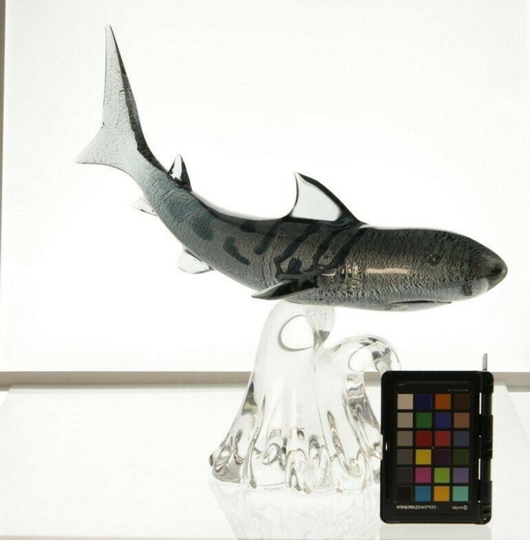 photo furniture Roberto Camozzo For Wyland, Tiger Hunting Shark On Base Murano Glass 90s, Signed