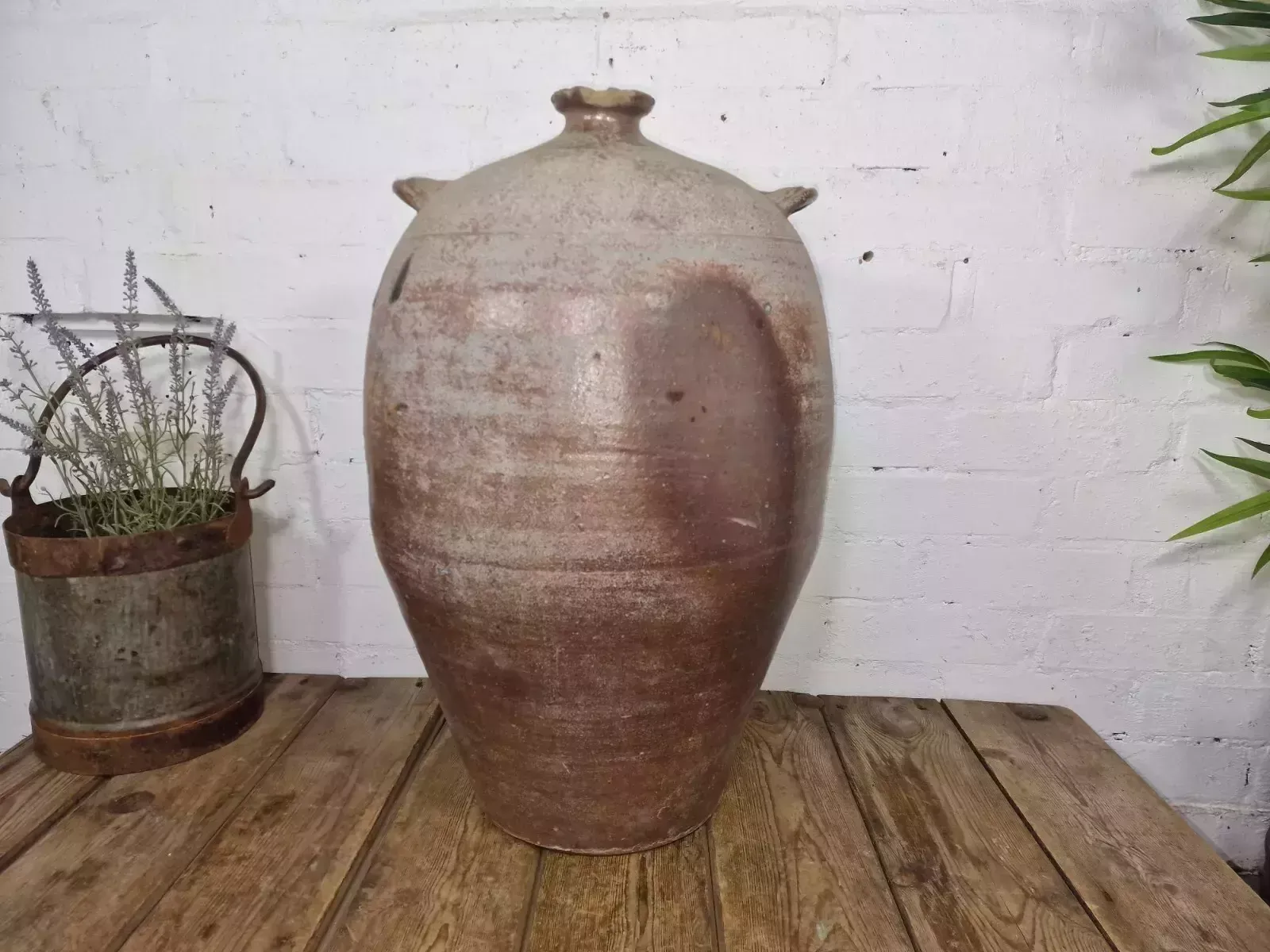 Very Large French Stoneware Terracotta Walnut Oil Pitcher Confit Pot photo vinterior