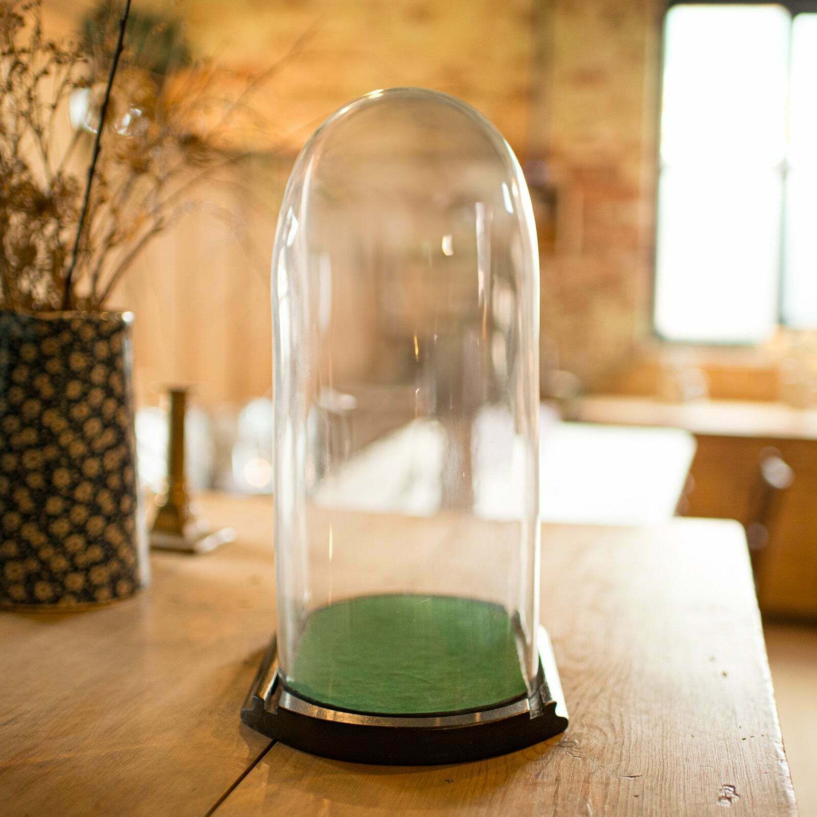 Antique Ovoid Display Dome English Glass Taxidermy Clock Showcase Victorian photo vinterior