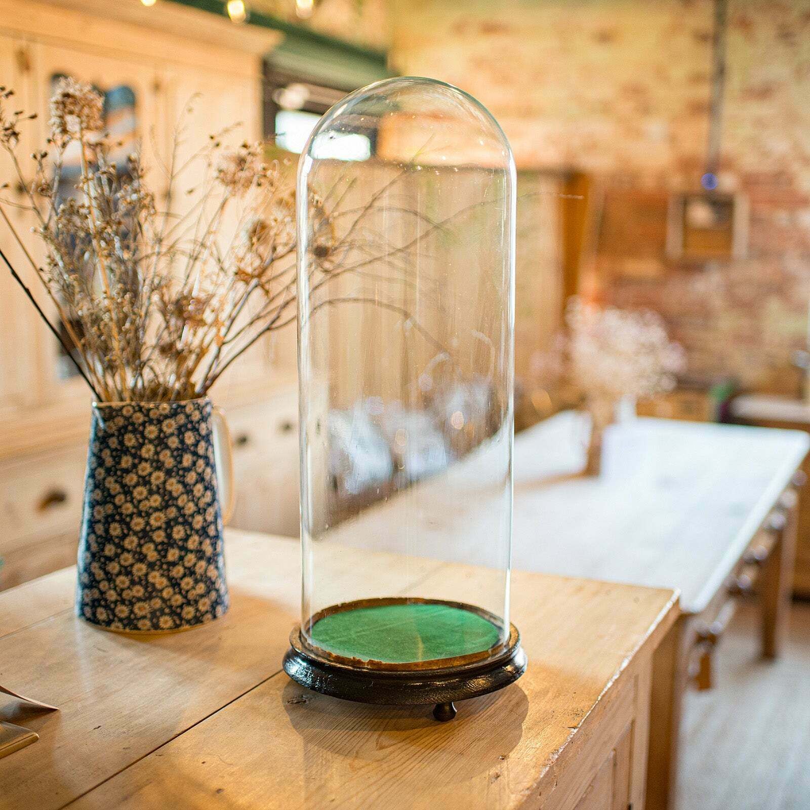 Tall Antique Taxidermy Dome English Glass photo for sale