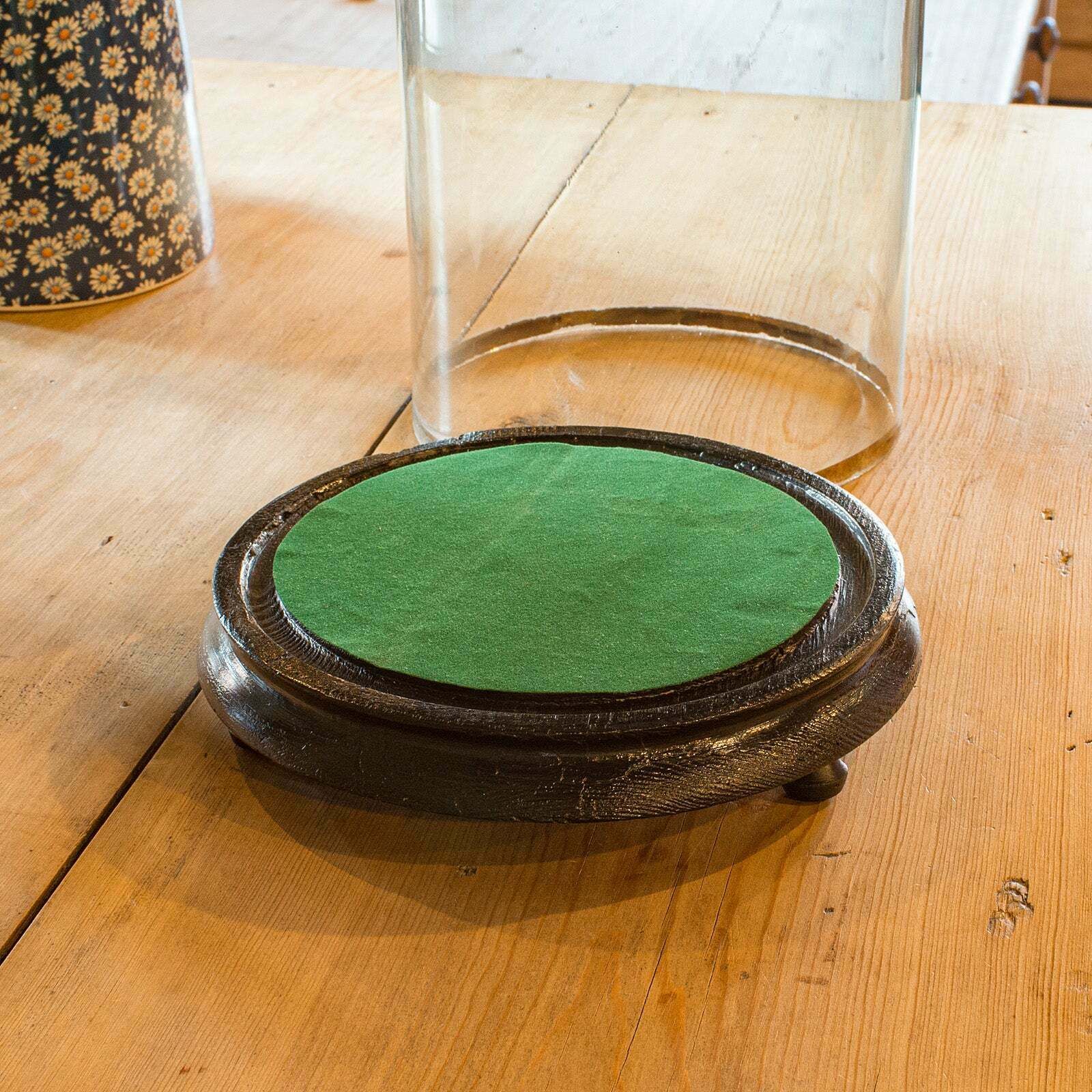 Tall Antique Taxidermy Dome English Glass photo Home Decor