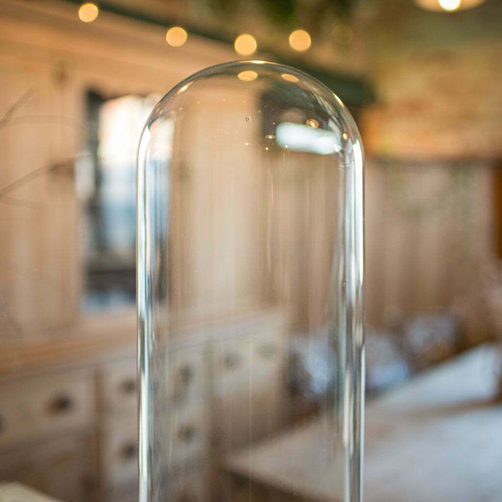 Tall Antique Display Showcase, English, Glass, Taxidermy, Dome, Victorian, 1850 photo 695.0
